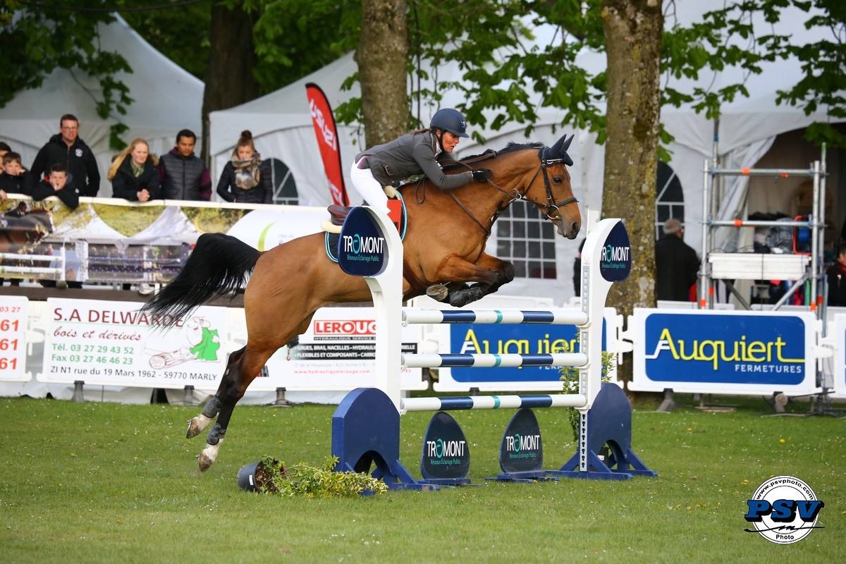 Meilleurs Pronos De La Presse Hippique CONCOURS HIPPIQUE CSI 1* – Jumping International de Maubeuge